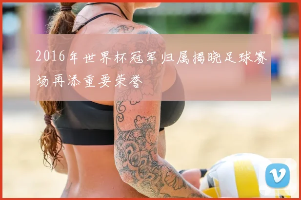 2016年世界杯冠军归属揭晓足球赛场再添重要荣誉