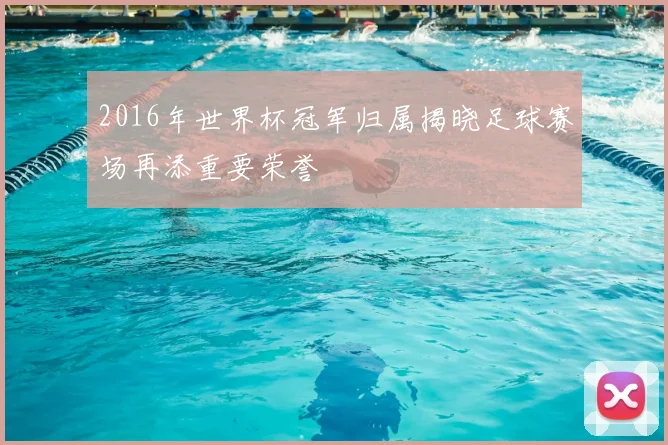 2016年世界杯冠军归属揭晓足球赛场再添重要荣誉