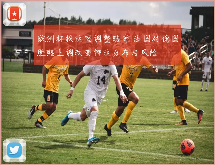 欧洲杯投注官调整赔率 法国对德国胜赔上调改变押注分布与风险